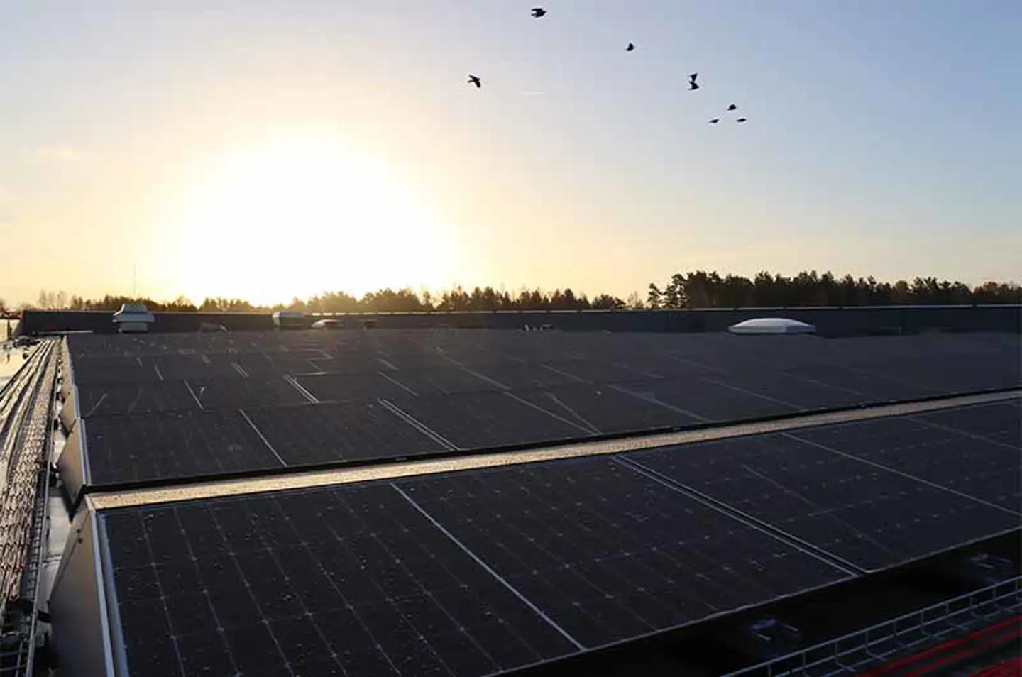 Zonnepanelen op het dak van het Axelent hoofdkantoor